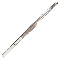 <B>8"</B> Straight Dissecting Forceps