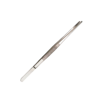 <B>5"</B> Straight Dissecting Forceps