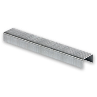 Rapid Galvanised Staples