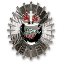 Sacred heart (painted) ornts. plastic NP